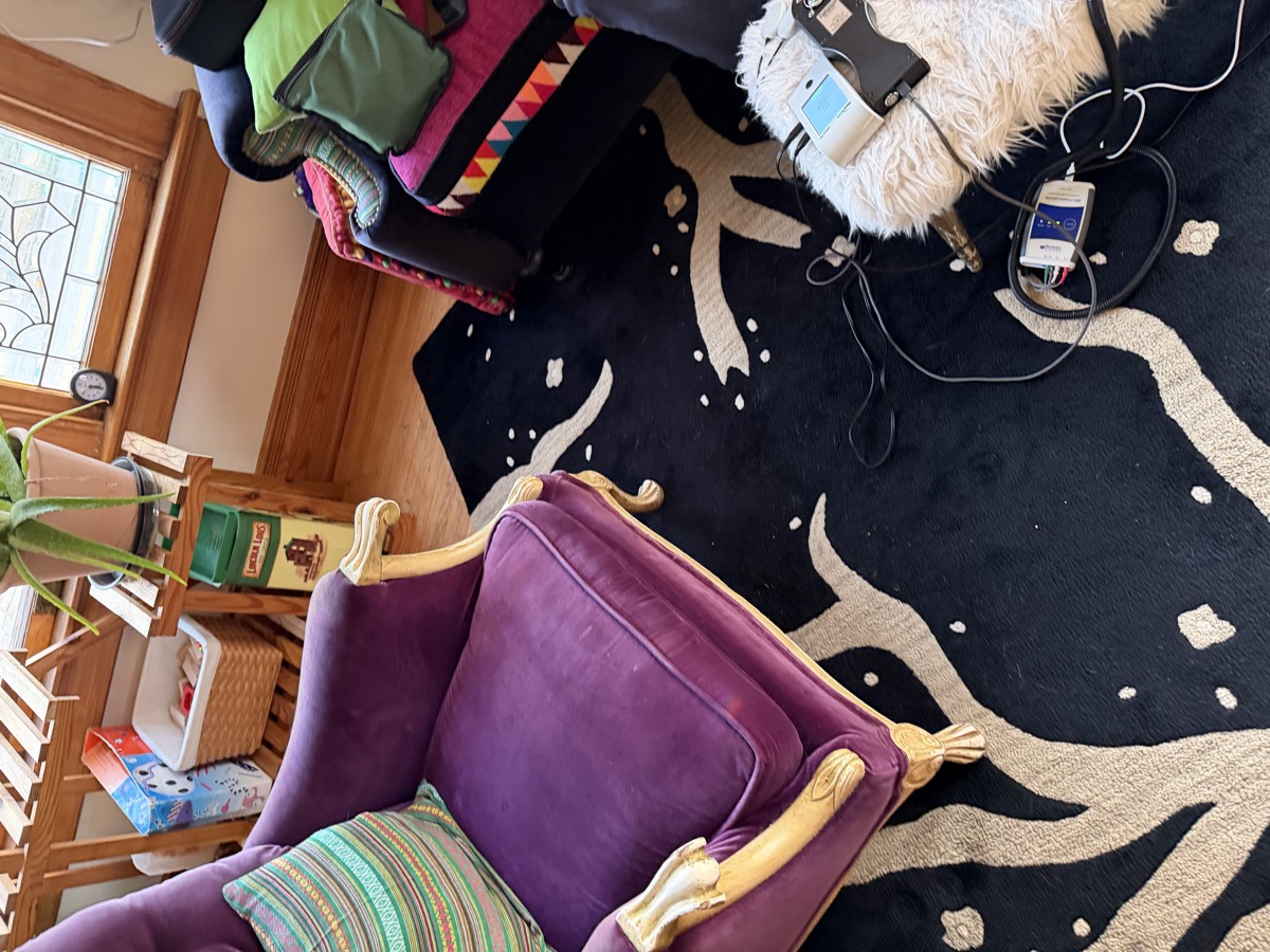 Session area with comfortable seating and neurofeedback equipment